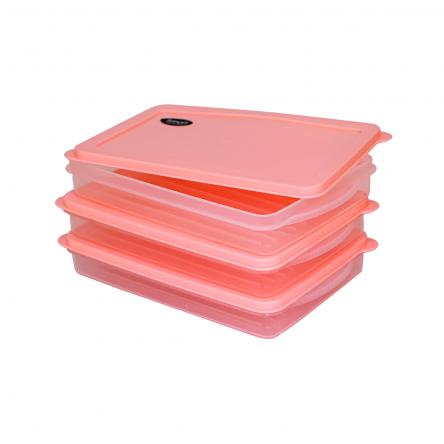 عرضه مستقیم ظروف فریزری 800 میلی لیتر