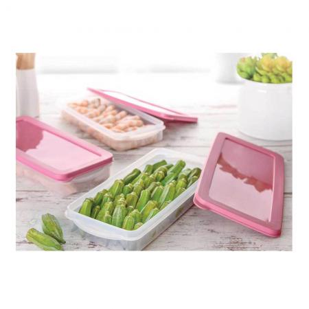 شرکت عرضه ظروف فریزری به صورت عمده