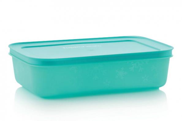 تهیه بهترین انواع ظروف فریزری تکی