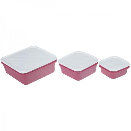 بهترین فروشنده ظروف فریزری چاپدار