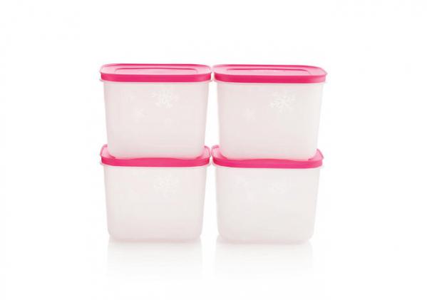 بررسی سایزبندی انواع ظروف فریزری