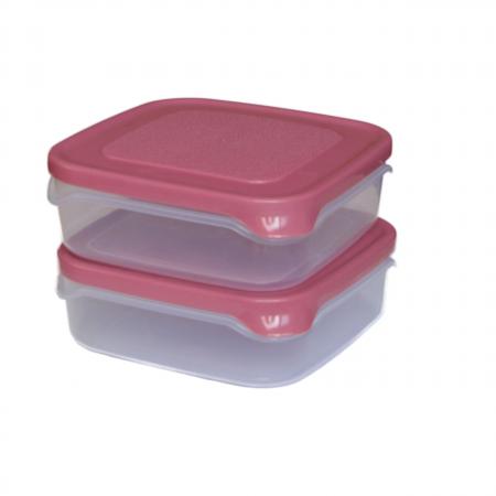 عرضه انواع ظروف فریزری ۴ گوش