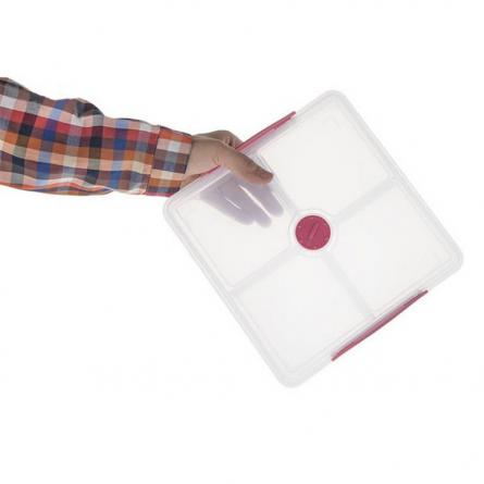 خرید برترین ظروف فریزری چهار خانه