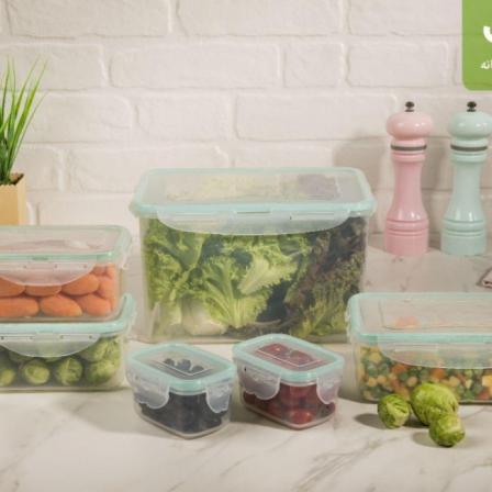 توزیع مستقیم ظروف فریزری ۱۲ پارچه